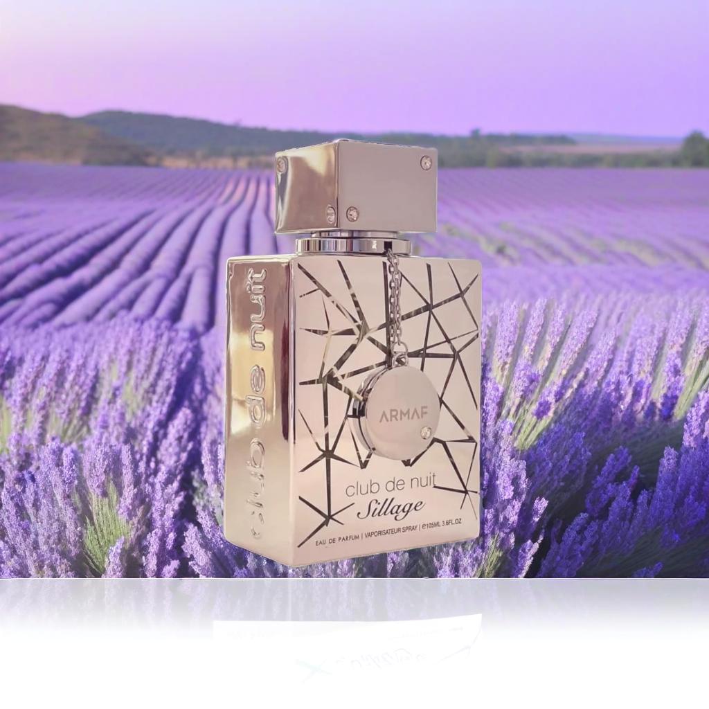🌃 Club de Nuit Sillage — L’Essence de la Nuit et du Charme ✨